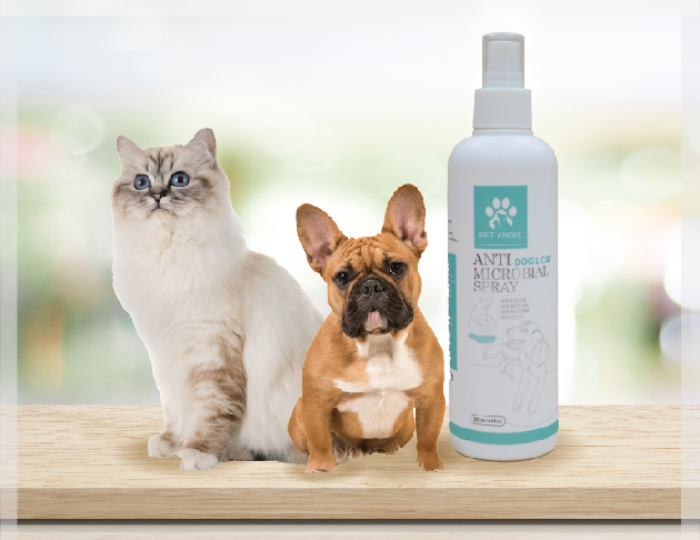  有機植萃寵物免沖洗乾洗噴霧-犬貓通用